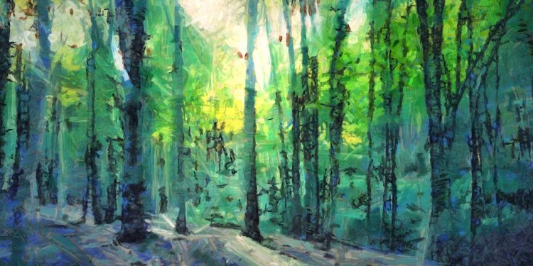 Companies are buying up cheap carbon offsets − data suggest it’s more about greenwashing than helping the climate