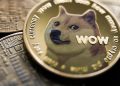 Dogecoin is a joke − so what’s behind its rally?
