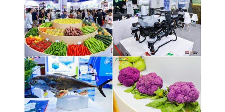 Over 2,000 Enterprises Worldwide Join China (Hainan) International Trade Fair for Tropical Agricultural Products