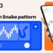 Wooden Snake and crypto market prospects from global broker Octa