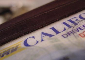 Providing driver’s licenses to undocumented immigrants improves birth outcomes, research shows