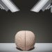 Brain monitoring may be the future of work – how it’s used could improve employee performance or worsen discrimination