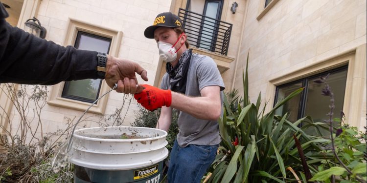 Neighbors and strangers pulled together to help LA fire survivors – 60 years of research shows these unsung heroes are crucial to disaster response