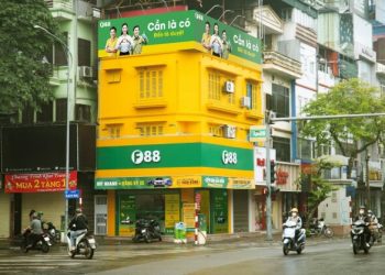 F88 reports 2024 profit of VND351 billion, revenue jumps 23%