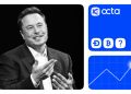 Musk, memecoins, and the crypto market: Octa broker’s expert view