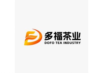 Introducing Phoenix Dancong Tea: Now Available at Dofo Tea