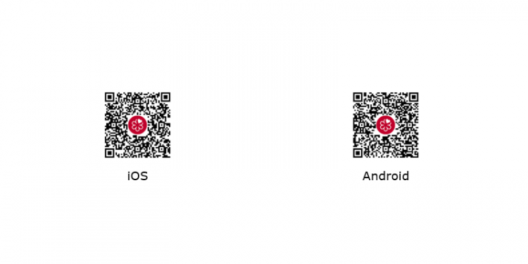 The 2024 Michelin Guide Hanoi, Ho Chi Minh City, Da Nang Boasts 3 New One Stars, A First-Evergreen Star, And Bib Gourmand Venues That Double Last Year’s List