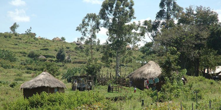 Entrepreneurship as a way out of poverty? Study in rural Kenya shows why it doesn’t always work