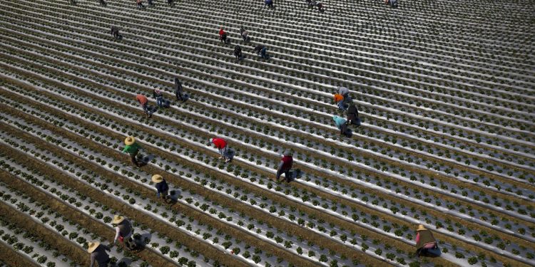 Deporting millions of immigrants would shock the US economy, increasing housing, food and other prices