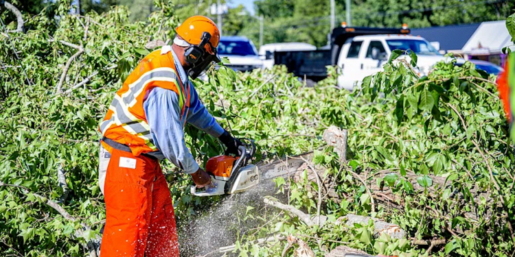 South Africa’s ‘working for water’ programme is meant to lead to skills and jobs: why it’s failing