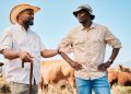 Land reform in South Africa doesn’t need a new law: the state should release property it owns – economists