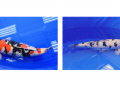 “Swimming Jewels” Nishikigoi – Niigata-bred Koi Wins Top Prize at Global Beauty Competition