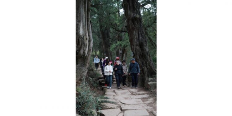 Jian’ge County in Guangyuan Hosts Handover Ceremony for Over 12,000 Ancient and Famous Trees