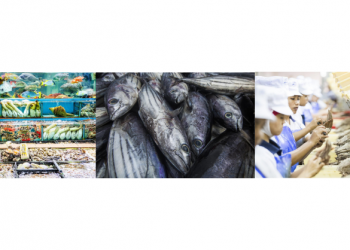 Seafood stakeholders call for a level playing field for Sustainability