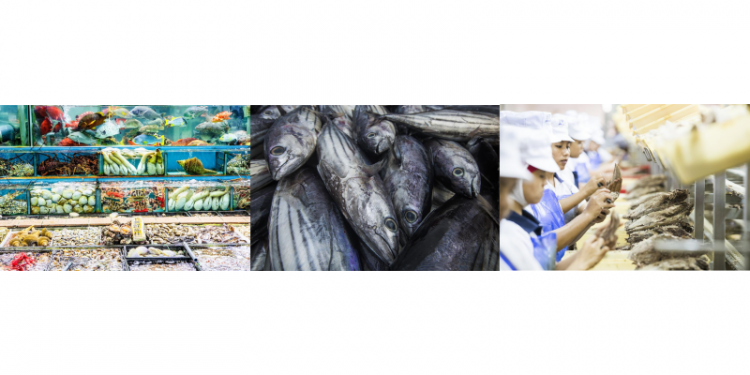 Seafood stakeholders call for a level playing field for Sustainability