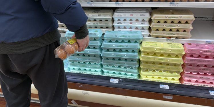 Egg prices soar as outdated supply chains crack under pressure