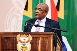 Motsoaledi urges all to help fight against ’silent killer’ TB