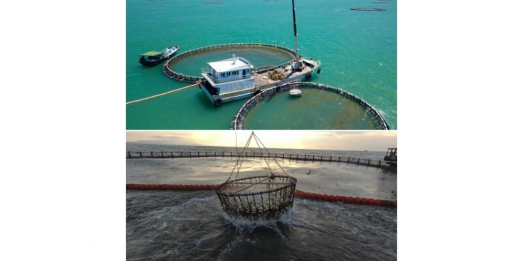 Hainan fish on global tables: testament to successful Hainan Fresh Products initiative