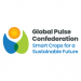 Pulses 25: the most pivotal event in the Global Pulse industry to be held in Singapore on 20-22 May 2025