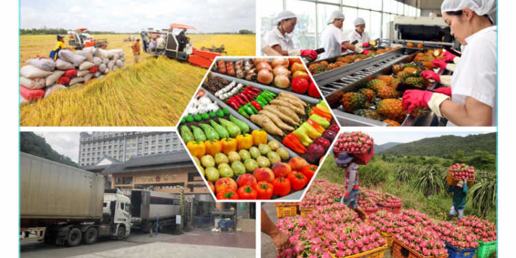 President Xi Jinping’s visit to Vietnam: Marking the 75th anniversary of diplomatic relations and boosting bilateral trade in agriculture, forestry and fisheries