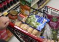 GOP lawmakers eye SNAP cuts, which would scale back benefits that help low-income people buy food at a time of high food prices