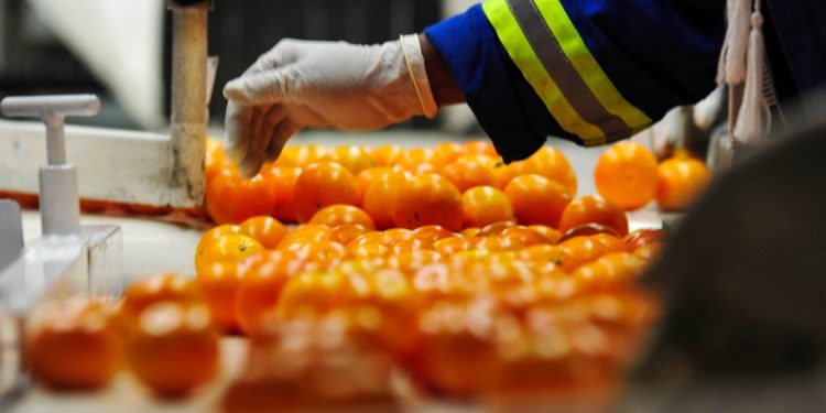 Trump’s tariff hikes and South Africa: hunt for new agricultural markets must begin now