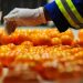 Trump’s tariff hikes and South Africa: hunt for new agricultural markets must begin now