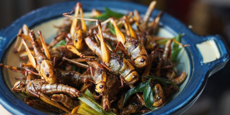 Africa’s superfood heroes – from teff to insects – deserve more attention