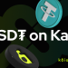 LINE NEXT and Kaia Expand Web3 and Stablecoin Adoption Across Asia Following a Native Deployment of Tether’s USD₮ on Kaia Blockchain