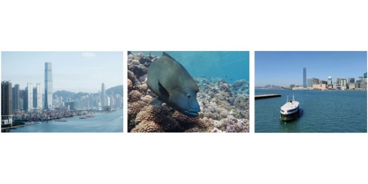 Hong Kong at Maritime Crossroads: New Studies Reveal Unprecedented Opportunity for Kickstarting the Blue Economy