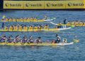 “2025 Sun Life Hong Kong International Dragon Boat Races” Successfully Concluded in Acclamation