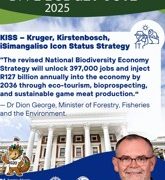 DFFE allocates R9 billion amid budget constraints