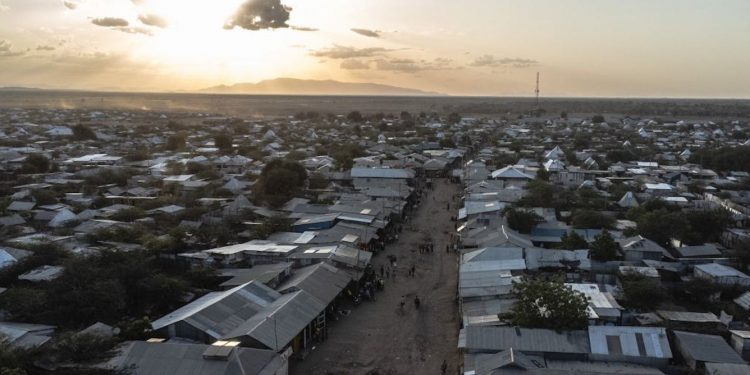 What happens when aid is cut to a large refugee camp? Kenyan study paints a bleak picture