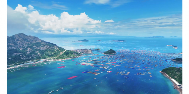 Dong Yuhui’s Fujian Journey: The Sea’s Lesson – 30% Destiny, 70% Determination