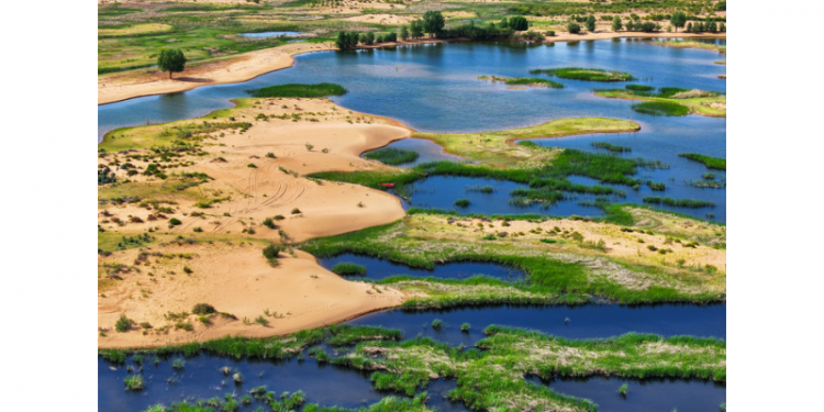 The 10th Kubuqi International Desert Forum to Open: Ordos Becomes a Beacon of Green Hope for the World