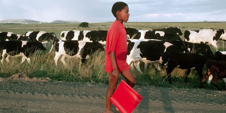 Child labour numbers rise in homes where adults are jobless – South African study