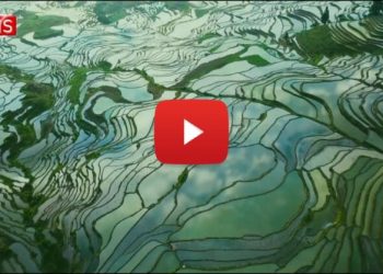 Hani Terraced Fields: A Paradise Harboring Ingenious Technology