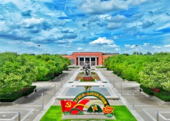 The Answer in a tree: Practices of Environmental Governance and Industrial Development in Lankao, Henan