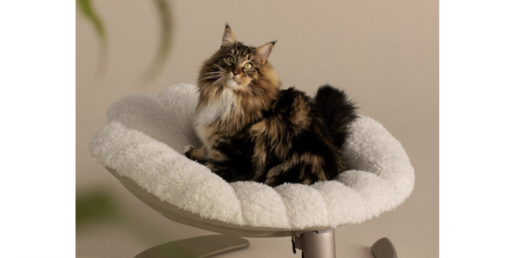 Tavo Unveils the Shell™ – A Pet’s Elevated Sanctuary of Comfort and Style