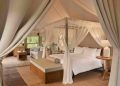 Dusit brings its ‘Tree of Life’ sustainability vision to Chiang Rai with management of Tantawan Tented Camp