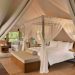 Dusit brings its ‘Tree of Life’ sustainability vision to Chiang Rai with management of Tantawan Tented Camp