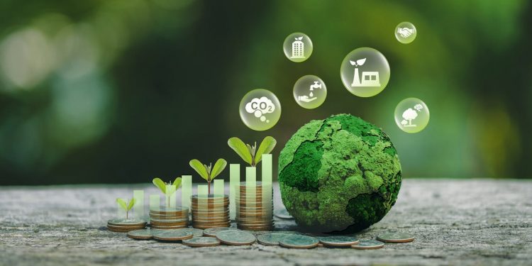 Investing that protects people and the planet is growing: new study maps the progress in South Africa