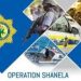 308 arrested in N Cape Operation Shanela