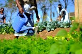 Using research for a better South Africa