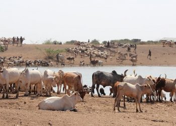 West Africa’s trade monitoring system has collapsed – why this is dangerous for food security