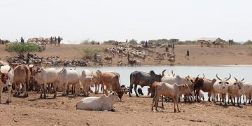 West Africa’s trade monitoring system has collapsed – why this is dangerous for food security