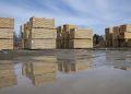 Why higher tariffs on Canadian lumber may not be enough to stimulate long-term investments in US forestry