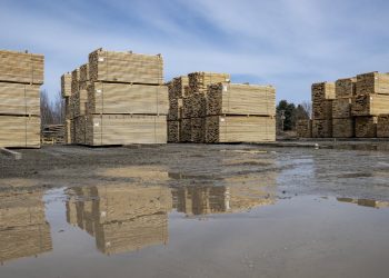Why higher tariffs on Canadian lumber may not be enough to stimulate long-term investments in US forestry