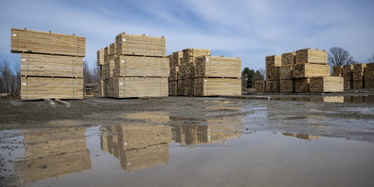 Why higher tariffs on Canadian lumber may not be enough to stimulate long-term investments in US forestry