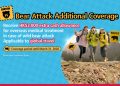 Blue Cross Introduces “Bear Attack Additional Coverage” to Safeguard Travellers Offers HK$50 Coupon for SmartClub Members